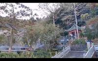 今日分享【酥醪观】，位于广东省惠州市博罗县西罗浮山罗岭之北，浮山之西。是罗浮山道教五大观之一；建于晋代，有1600余年的历史…