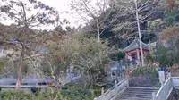 今日分享【酥醪观】，位于广东省惠州市博罗县西罗浮山罗岭之北，浮山之西。是罗浮山道教五大观之一；建于晋代，有1600余年的历史…
