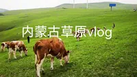 内蒙古翁牛特旗灯笼河草原vlog