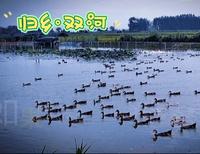 【合肥北乡双河景区】视频已打包，欢迎围观！