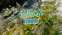河北风光——这么近，那么美，周末就到沕沕水