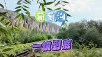 葡萄沟攻略·一镜到底