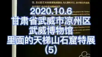 2020.10.6武威博物馆～详解5天梯山石窟特展