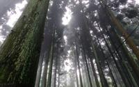 永不褪色的英雄丰碑——走进华蓥山起义纪念馆