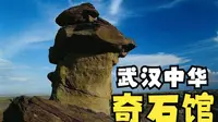 武汉中华奇石馆