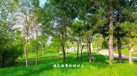 一草一木皆成趣 在宝鸡野河山景区邂逅“治愈系”美景