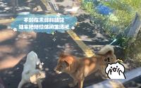 8月9日，不想去人挤人的景区，不如在黑蜂科技馆驻车地继续休闲生活吧