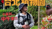 台北植物園找鳥挑戰！網傳「新手天堂」結果我槓龜兩小時？三點一到... 奇蹟發生了！| 波氏家族 popofamily