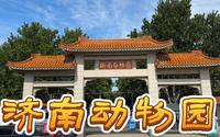 济南动物园之旅.山东