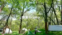 一个位于安丘市辉渠镇的神仙打卡地——G camp营地
