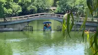昆明翠湖公园——城市中心的一枚绿宝石