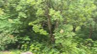 video_20260520_152342（浙江·杭州）杭州西湖风景名胜区 vivo X300
