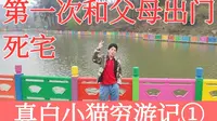 十堰市的秦巴植物园到底有多坑？