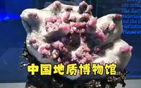 中国地质博物馆游玩攻略，不建议女生来，因为会被它美晕