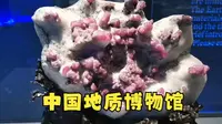 中国地质博物馆游玩攻略，不建议女生来，因为会被它美晕