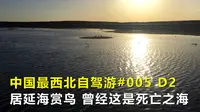 中国最西北自驾游005，碧波荡漾的居延海，20年前却是沙尘暴发源地