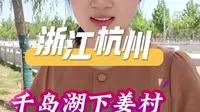 浙江杭州千岛湖下姜村免费停