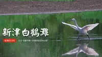 松锅VLOG ｜ 打卡成都唯一的国家级湿地公园-新津白鹤滩