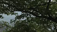 风光旖旎的武当山金顶父母殿后