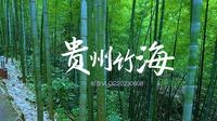 贵州赤水竹海4K