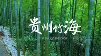 贵州赤水竹海4K