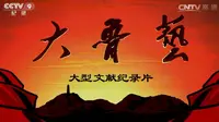 【央视】纪录频道CCTV-9《大鲁艺》