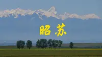新疆最美在昭苏，带大家逛逛我躺平了好几天的昭苏县城