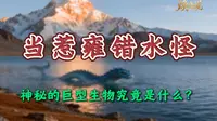 4500米海拔上的当惹雍错水怪，究竟是集体幻视现象，还是远古生物的遗存？