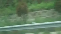 山西灵空山