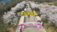 鲜花港踏春