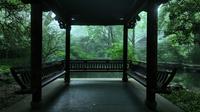 杭州｜虎跑公园清晨，聆听初夏雨声