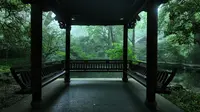 杭州｜虎跑公园清晨，聆听初夏雨声