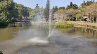 丹樱生态园彩虹