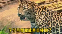 徐州九顶山野生动物园究竟有多好玩！