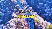 北京怀柔黄花城水长城，桃花漫山，一半山水，一半长城！#长城 #黄花城水长城 #怀柔 #北京周边游