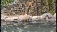 温泉度假村位于南宁四塘的嘉和城温泉谷。。。