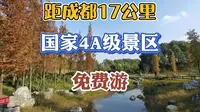 国家4A级旅游景区--美丽的成都凤凰湖湿地公园！
