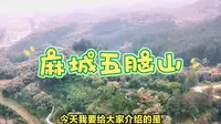 麻城五脑山森林公园