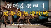 【博物馆奇妙测】成都自然博物馆-很精美很四川
