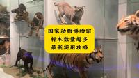 国家动物博物馆最新实用攻略 动物标本数量超多