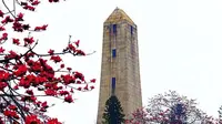 广州越秀山公园的孙中山纪念碑