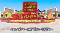 （鹤乡菊海）②江苏省Ⓙ盐城市⑹射阳县游玩景点分享