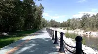 新疆北部阿勒泰市市区北边，4A景区桦林公园，风景秀丽、景色宜人