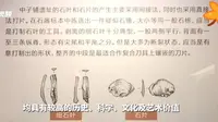 #四川新添一座博物馆#10月20日，坐落于广元市朝天区中子镇营盘梁的中子铺细石器考古博物馆开馆，它是#全国首个细石器主题博物馆#。