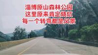 淄博原山森林公园，这里原来肯定烧炕，每一个转弯都是风景！