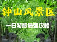 三分钟告诉您钟山风景区到底怎么玩！