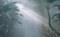 厦门植物园:热带雨林喷雾仙境，棕榈园区
