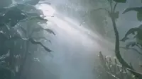 厦门植物园:热带雨林喷雾仙境，棕榈园区