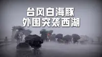 8月8日，杭州西湖突现狂风暴雨 多名游客蹲断桥上无法前行 景区：已闭园