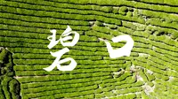 【碧口古镇】来感受陇南古镇的高山茶园风貌